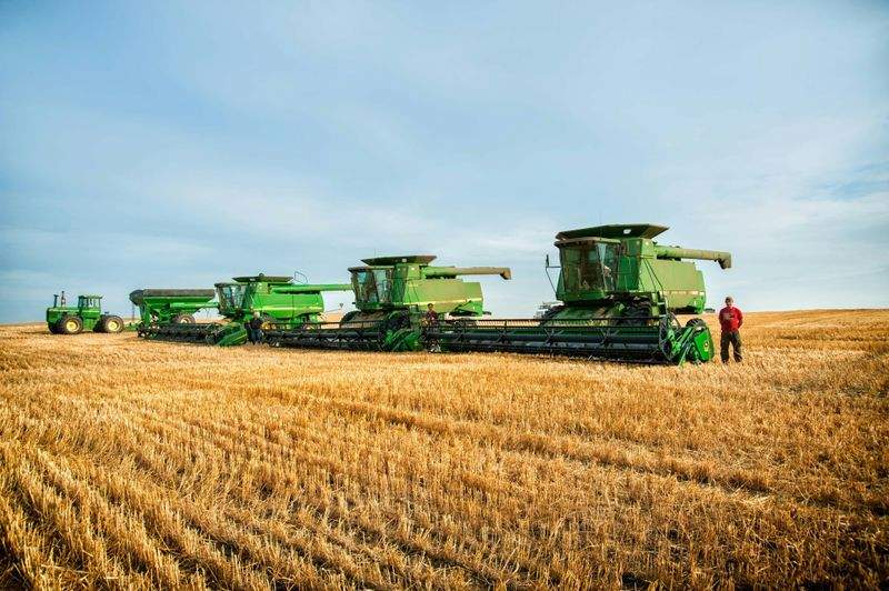 Greenfield Harvest Solutions Ltd 15