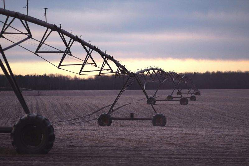 Greenfield Harvest Solutions Ltd 6