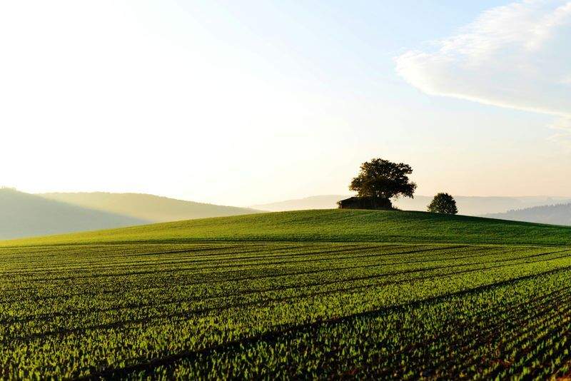 Greenfield Harvest Solutions Ltd