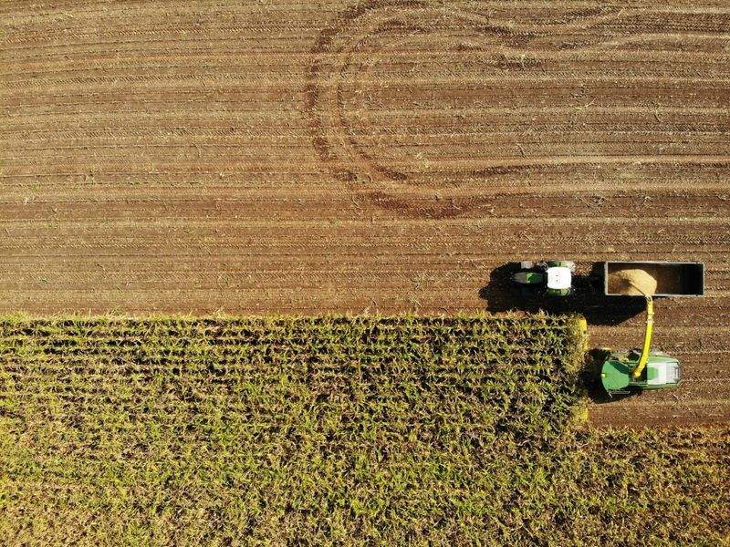 Seasonal farm labour support
